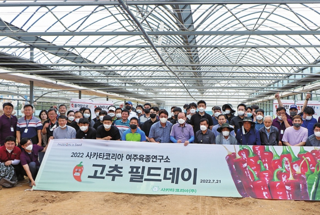 2022년 사카타코리아(주) 고추 품종평가회 개최 “사카타코리아의 새로운 품종들이 고추농가 ...