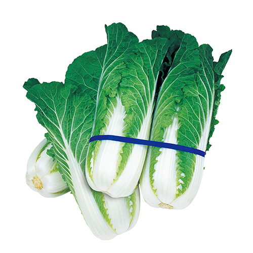 겨우내솎음