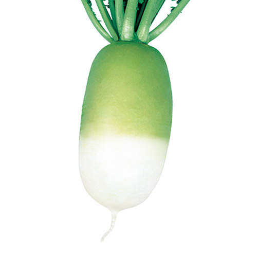 대보름
