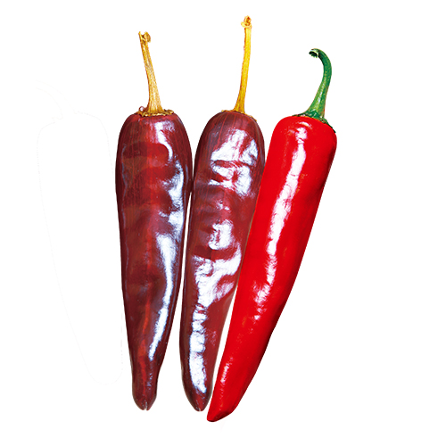 거대한탄생