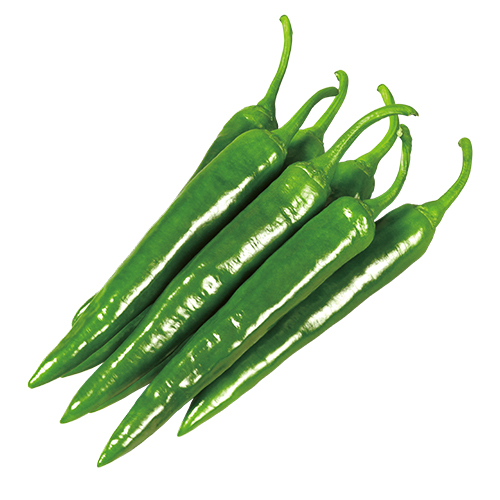 순한길상