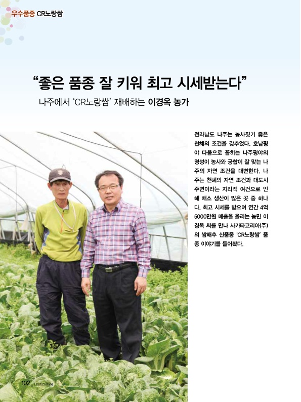 '좋은 품종 잘 키워 최고 시세받는다.' 나주에서 'CR노랑쌈' 재배하는 이경옥 농가