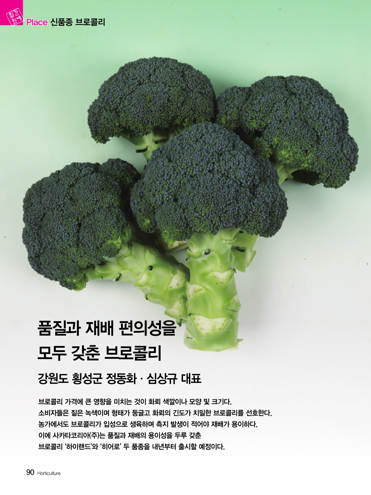 품질과 재배 편의성을 모두 갖춘 브로콜리. 신품종 '하이랜드'와 '히어로'