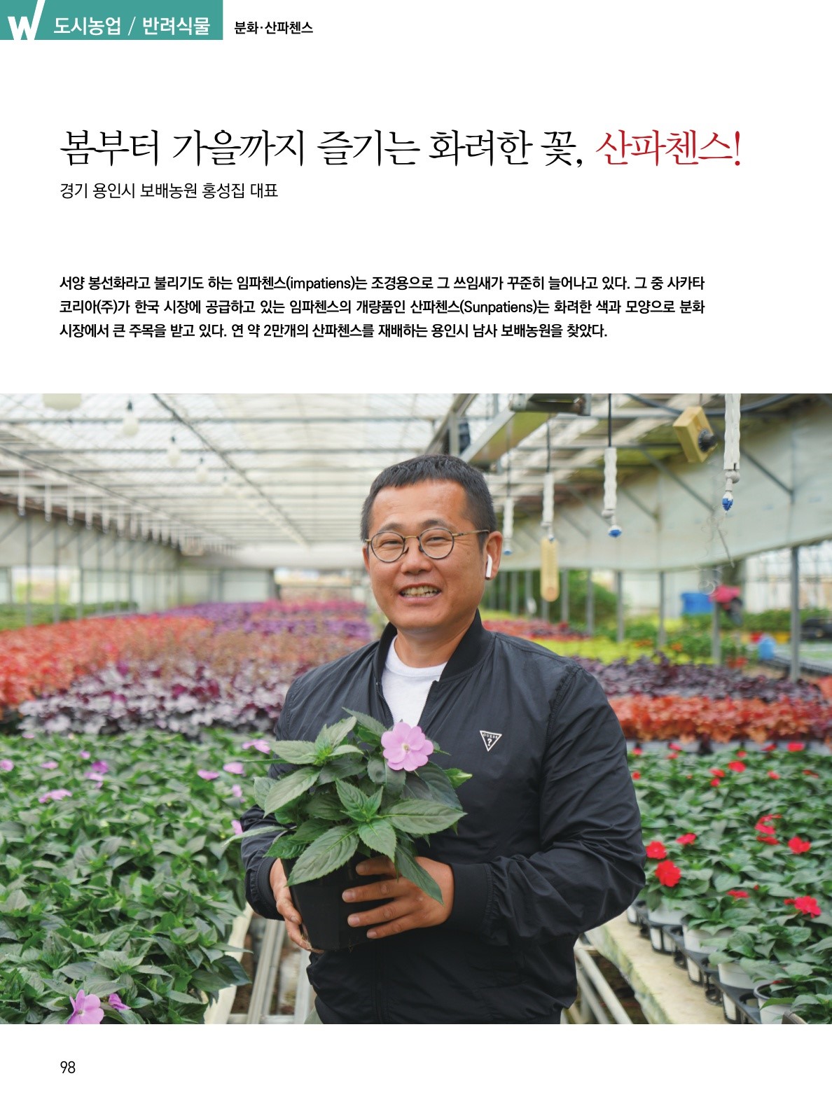 봄부터 가을까지 즐기는 화려한 꽃, 산파첸스!